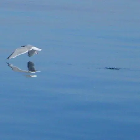 Dünenblick Meeresbrise Timmendorfer Strand