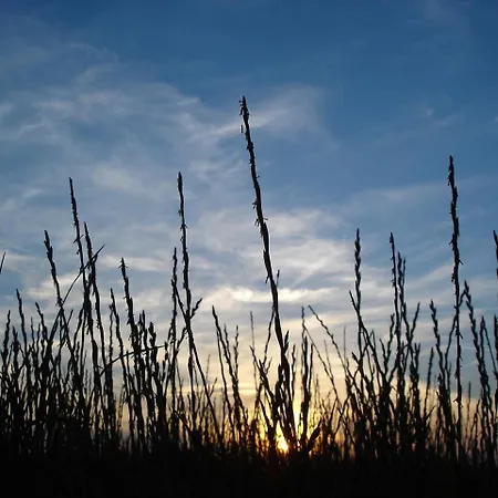 Dünenblick Meeresbrise Apartamento *