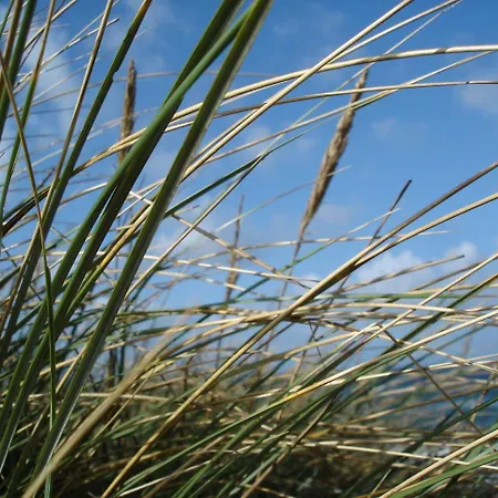 Apartamento Dünenblick Meeresbrise *