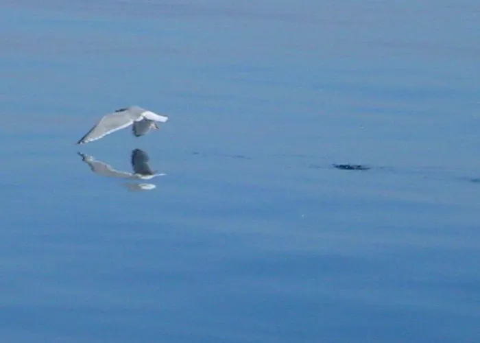 Duenenblick Meeresbrise Timmendorfer Strand