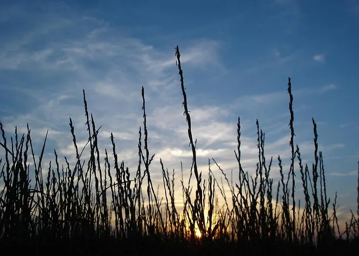 Duenenblick Meeresbrise Apartamento *