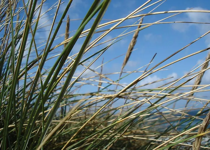 Lägenhet Duenenblick Meeresbrise *